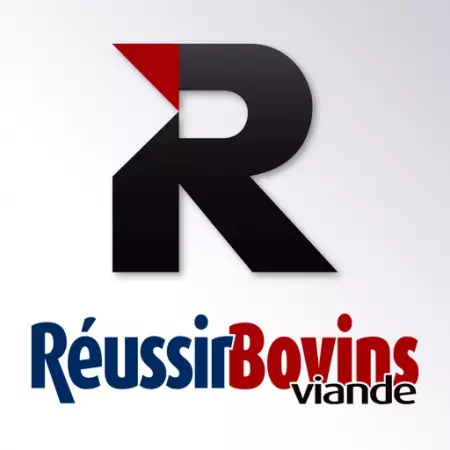 Logo Reussir bovins