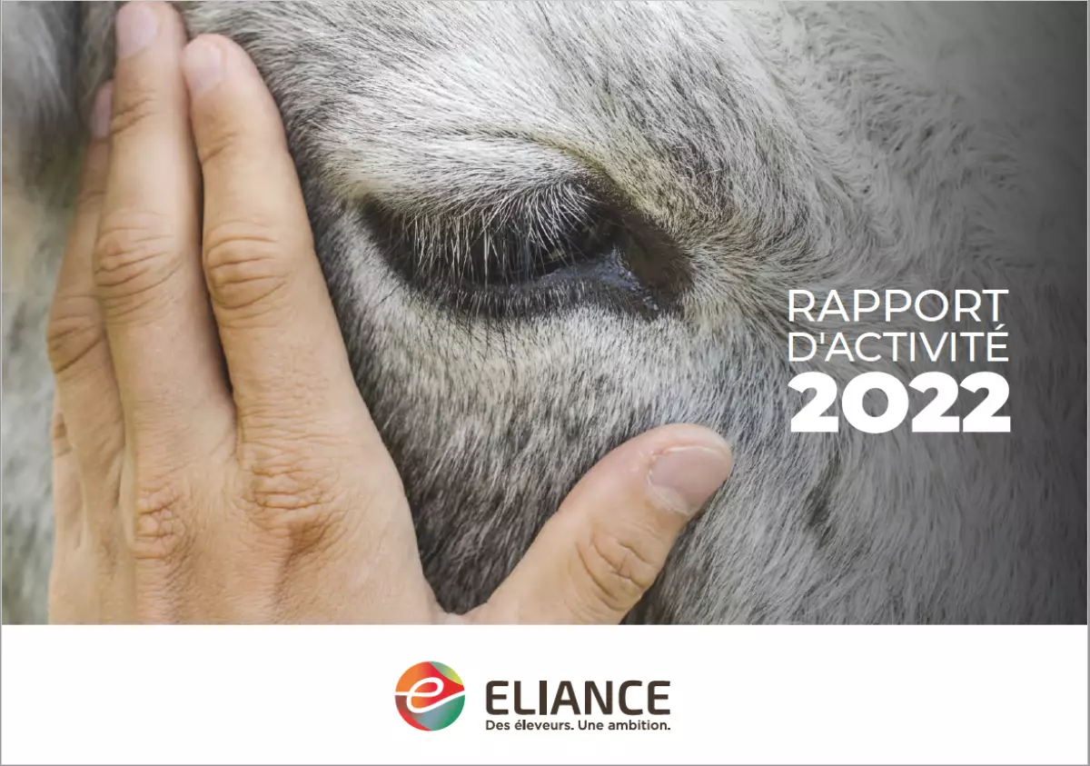 Rapport d'activité 2022