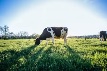 La plus haute distinction du réseau Conseil Élevage décernée à ACSEL