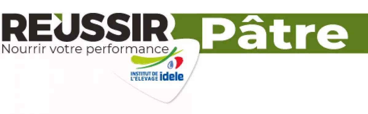 logo Réussir Pâtre