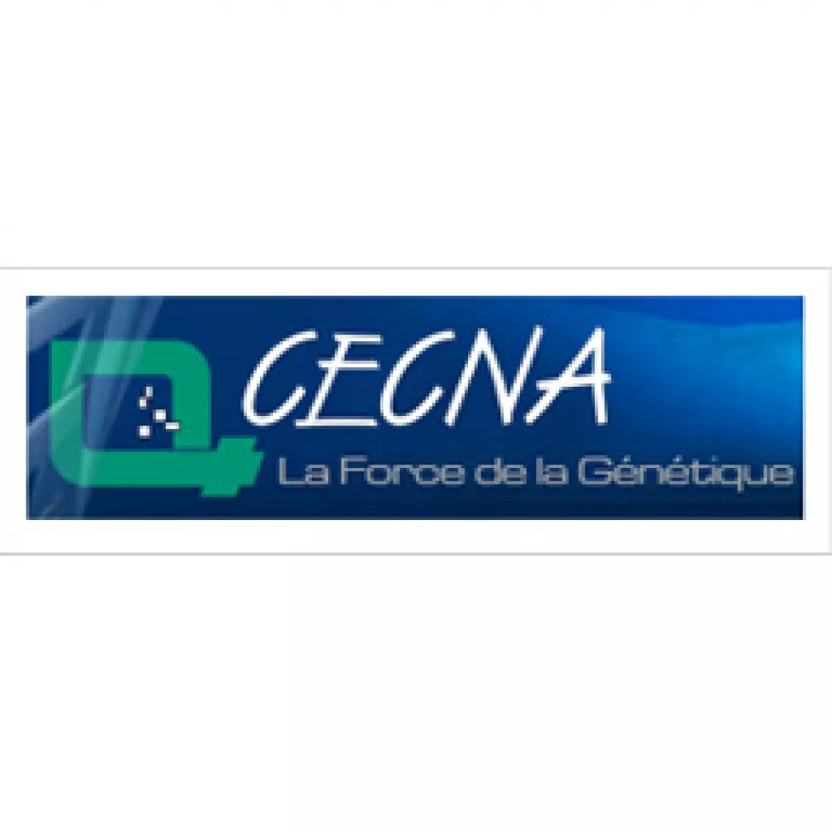 CECNA