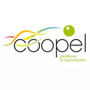 COOPEL