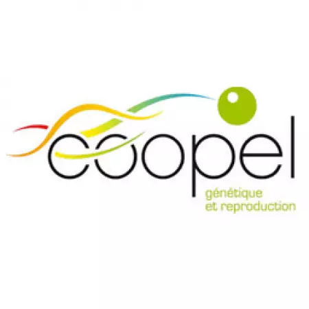 COOPEL