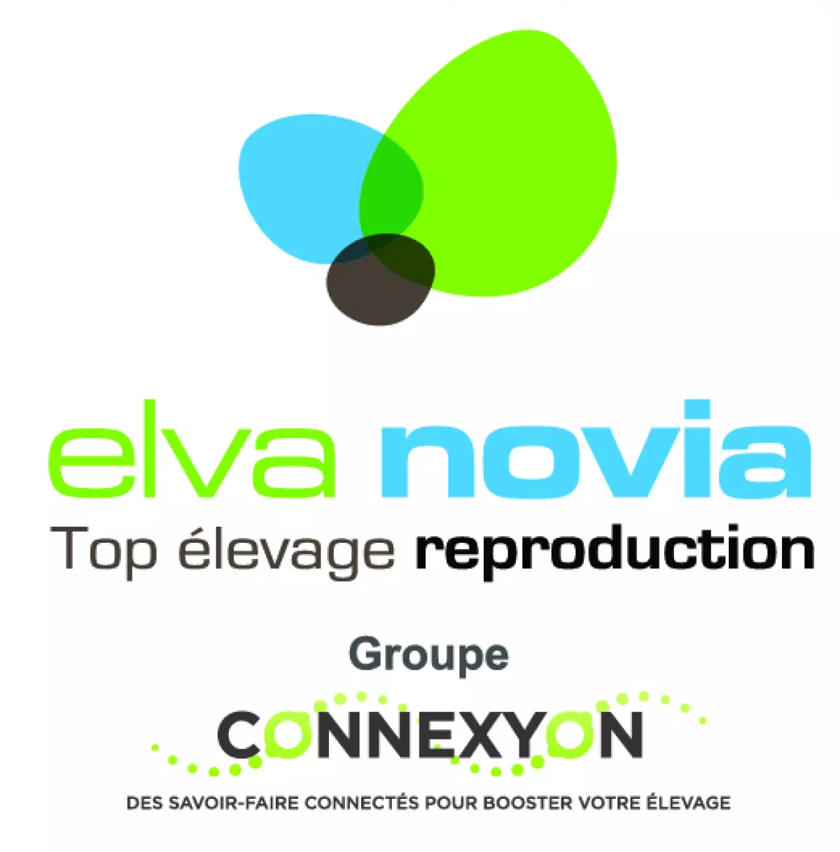 ELVA NOVIA