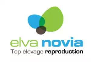 ELVA NOVIA
