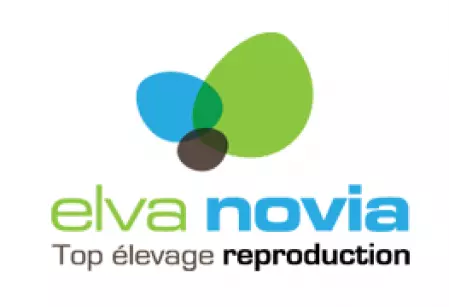 ELVA NOVIA