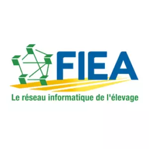 FIEA