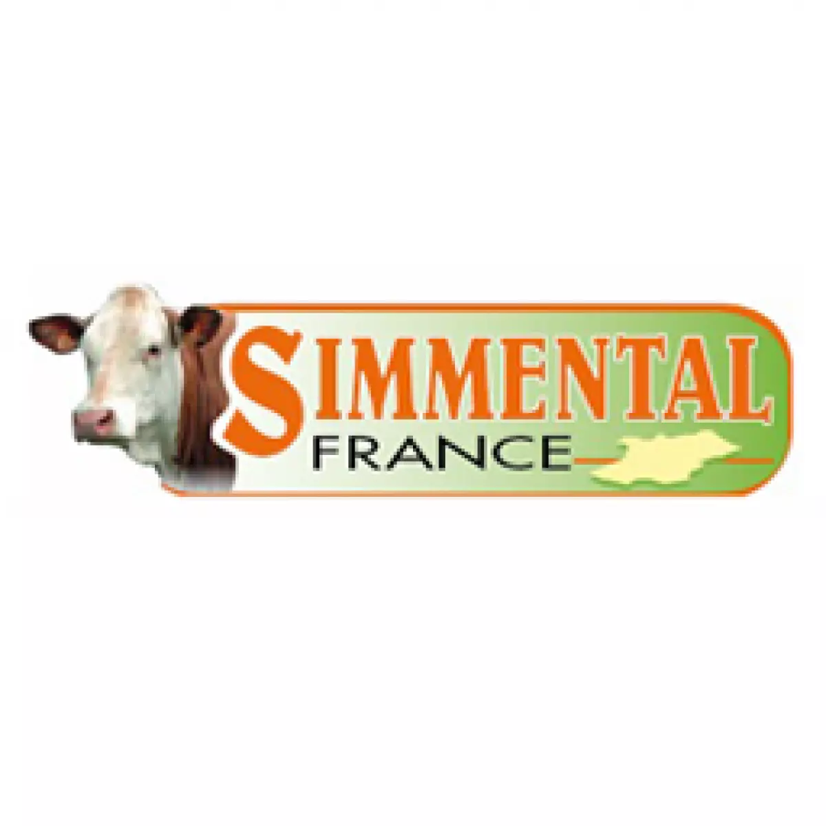 SIMMENTAL FRANCE