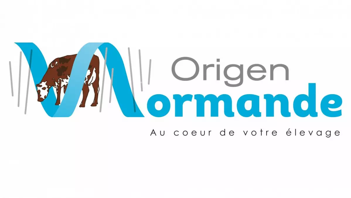 ORIGEN NORMANDE