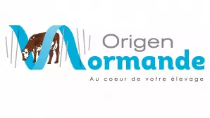 ORIGEN NORMANDE