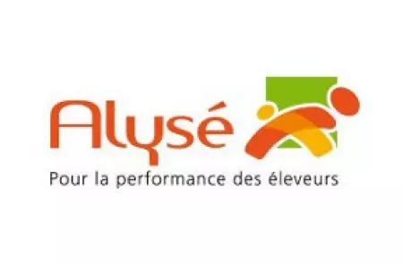 Alysé